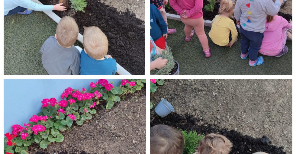 Briga o biljkama od najranije dobi