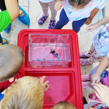 INSTITUT ZA OCEANOGRAFIJU I RIBARSTVO U POSJETU DV RUŽMARIN 4